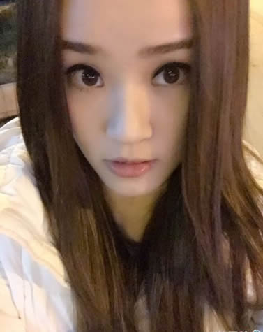 蔷薇的照片 蔷薇的照片