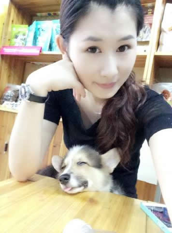 暴躁的小绵羊的照片 暴躁的小绵羊的照片