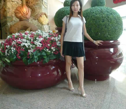 LilyƬ