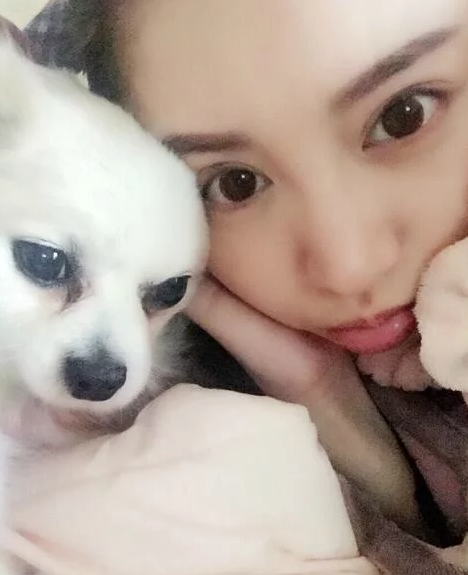 ˵Ƭ