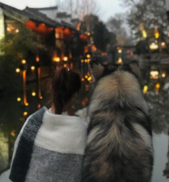 İоƬ