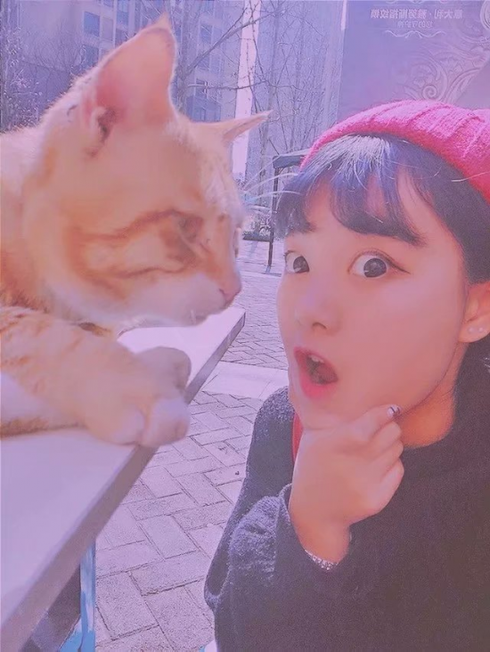 .Ƭ