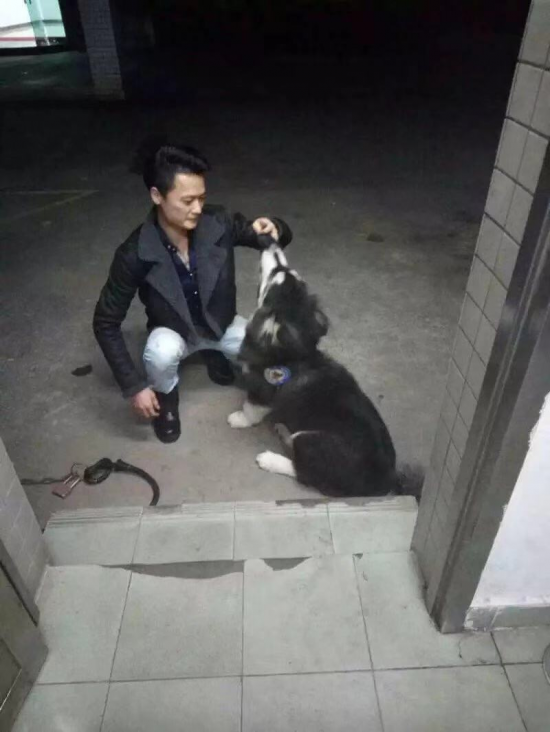 15338882812的照片 15338882812的照片