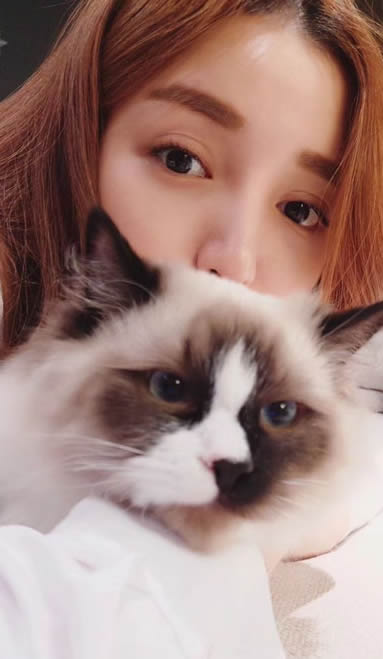 ʮ延Ƭ