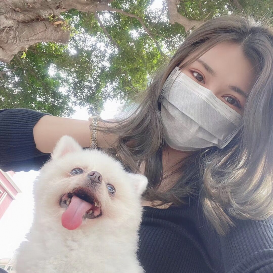 ŷɡ罵Ƭ