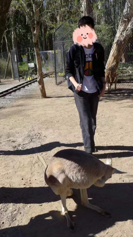 ʿƬ