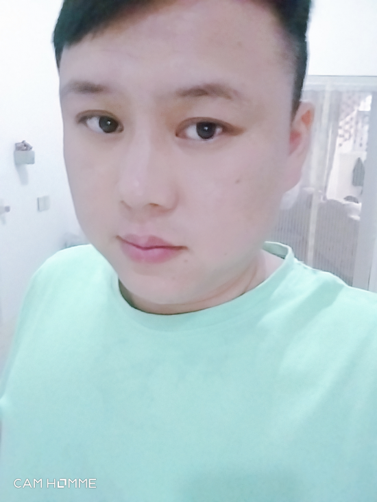 健壮的迎松的照片 健壮的迎松的照片
