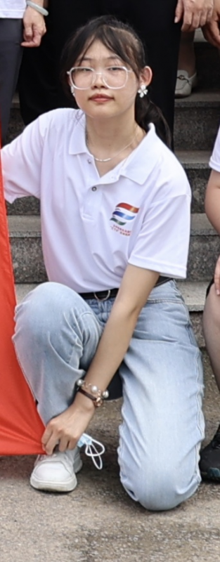ʮƬ