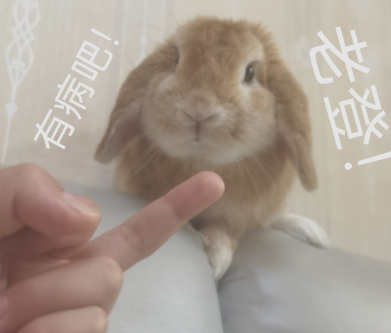 operzyl520的照片 operzyl520的照片